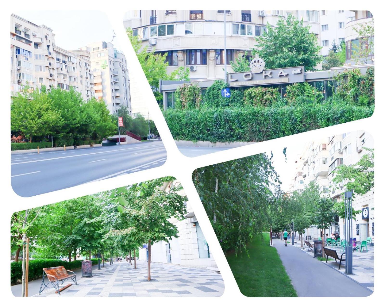 Central Apartament Bulevardul Decebal Bucarest Exterior foto